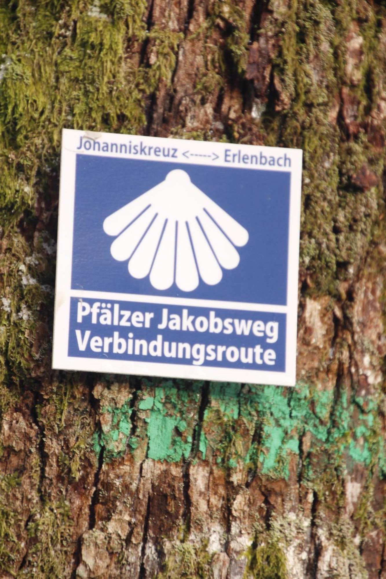 Ferienwohung Am Felsenwanderweg Im Pfaelzerwald Apartment Rodalben ภายนอก รูปภาพ