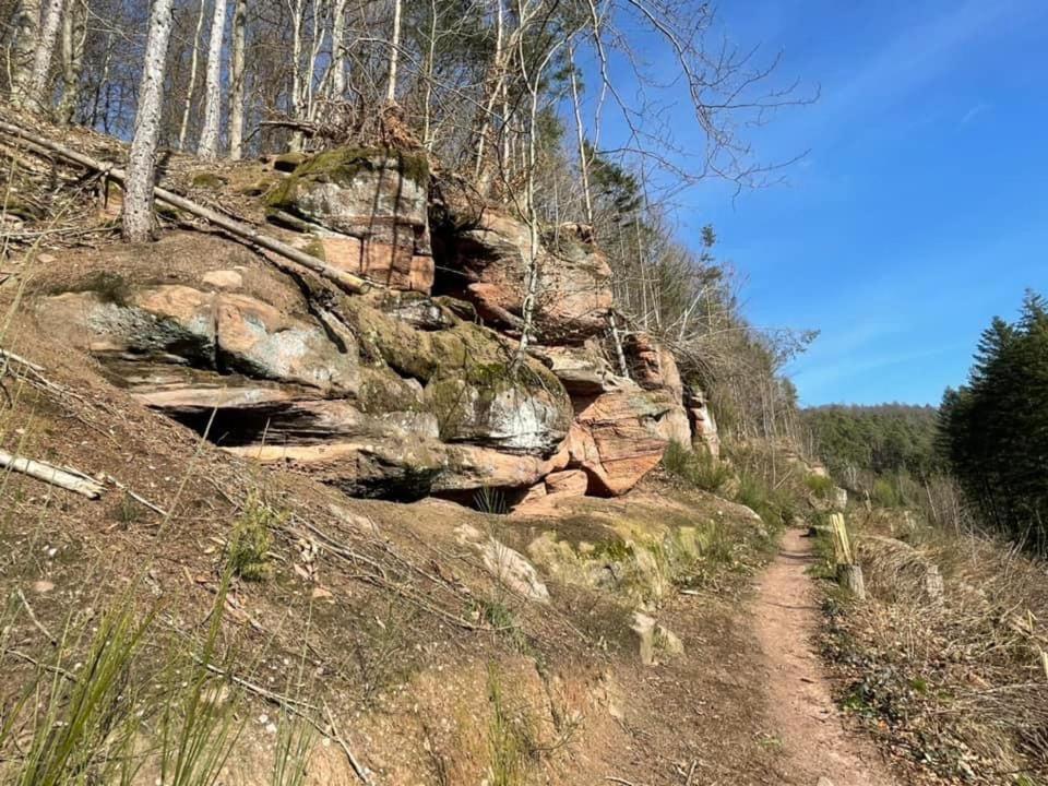 Ferienwohung Am Felsenwanderweg Im Pfaelzerwald Apartment Rodalben ภายนอก รูปภาพ