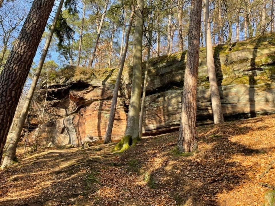 Ferienwohung Am Felsenwanderweg Im Pfaelzerwald Apartment Rodalben ภายนอก รูปภาพ