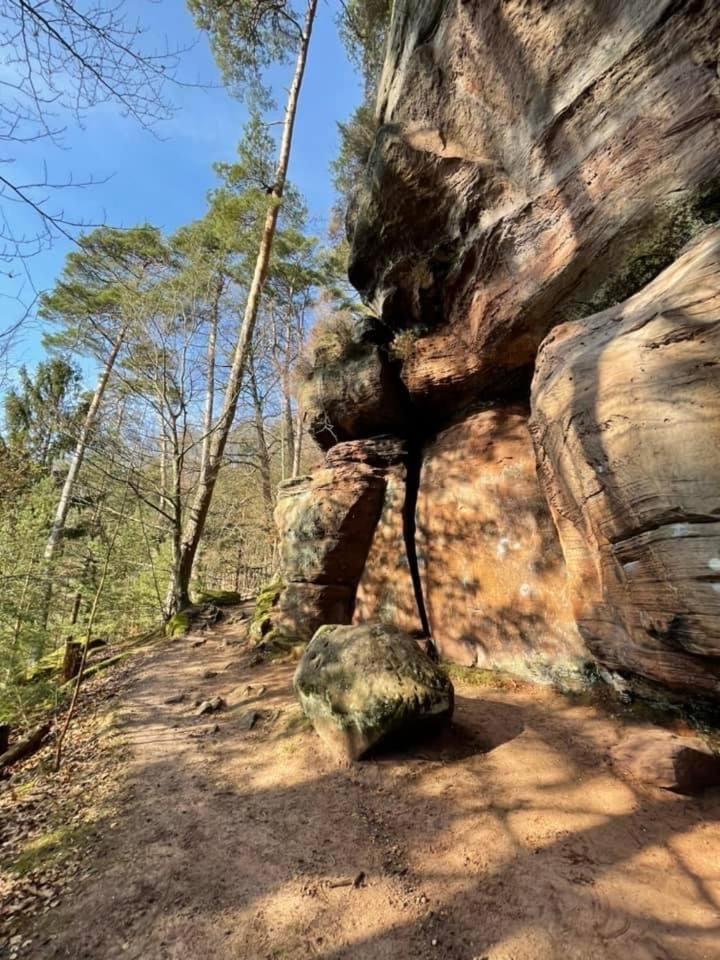 Ferienwohung Am Felsenwanderweg Im Pfaelzerwald Apartment Rodalben ภายนอก รูปภาพ